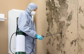 Best HVAC Mold Inspection and Cleaning  in Sumner, IA